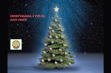 Bon Nadal i feliç any nou!